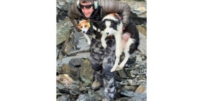 ニュージーランドの森で犬が救助される